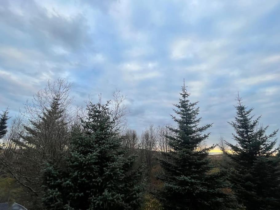 فيلا Golden Circle Cozy Retreat Grimsnes og Grafningshreppur المظهر الخارجي الصورة
